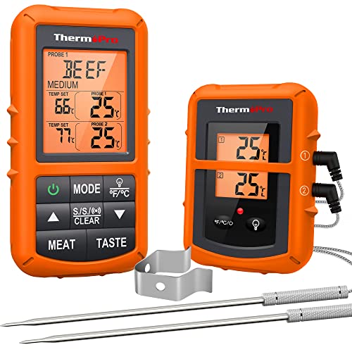 ThermoPro Tp20