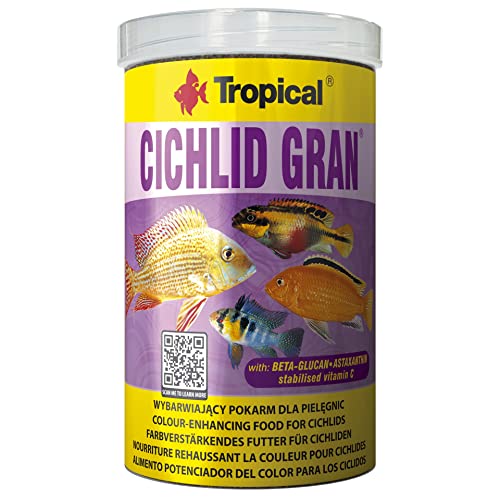 Tropical Cichlid