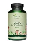 Vegavero Cissus quadrangularis
