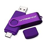 WANSENDA USB-C-Stick (256GB)